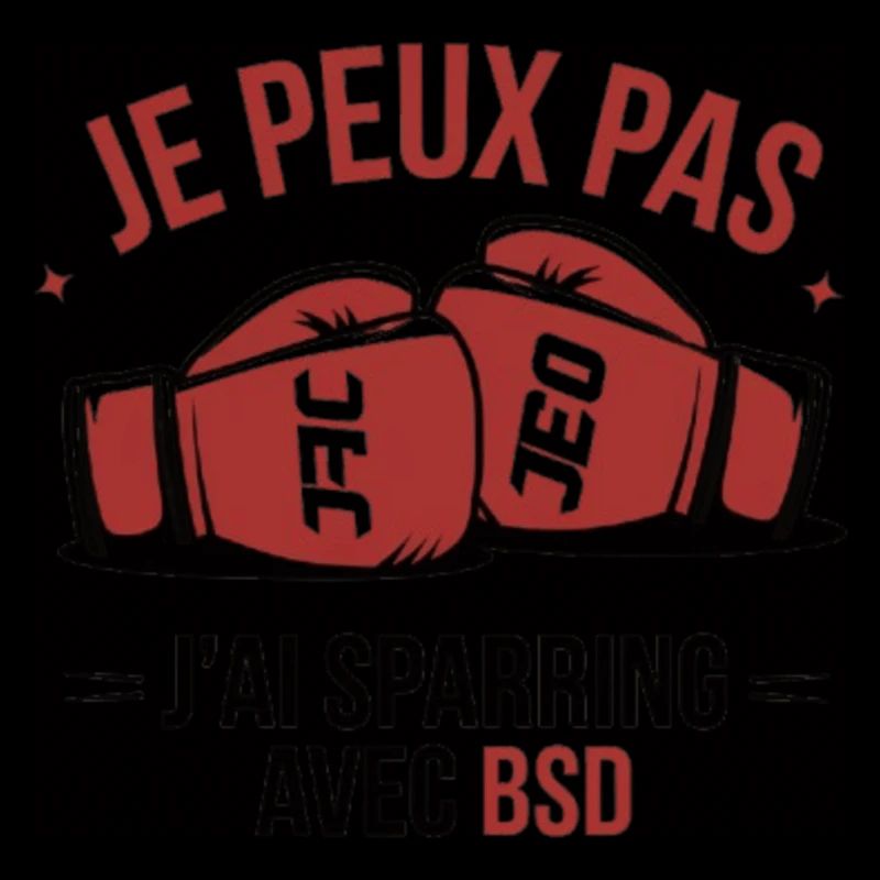 je peux pas j ai sparring avec benoit saint dénis