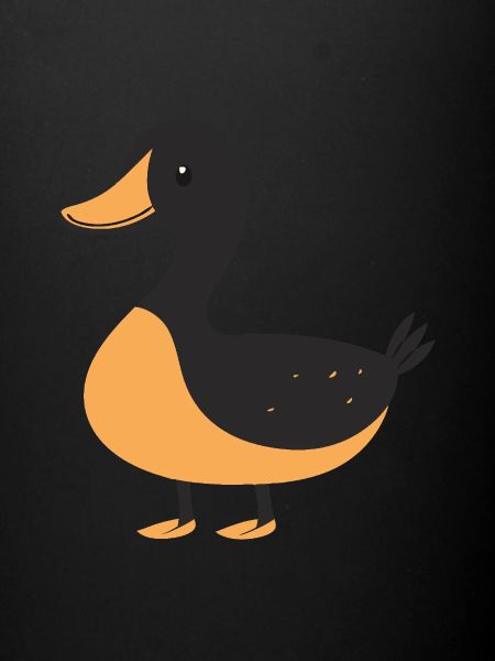 Canard Quak