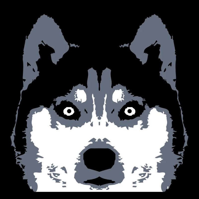 Dog White Husky Face Head Beautiful Breed Cool