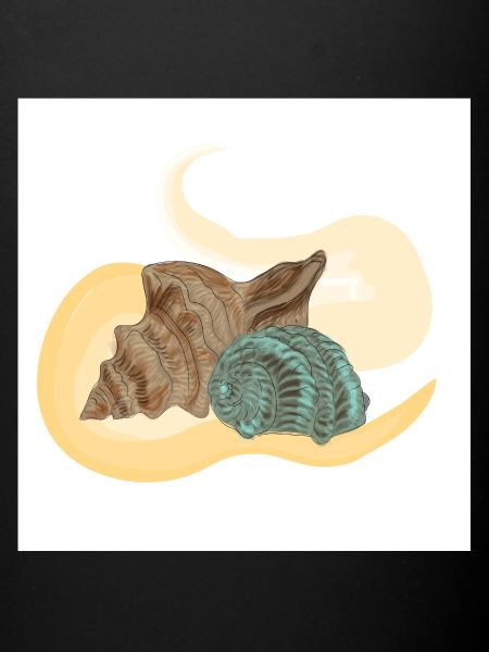 Sea conch