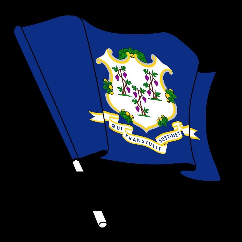 Flag Connecticut Text Banner
