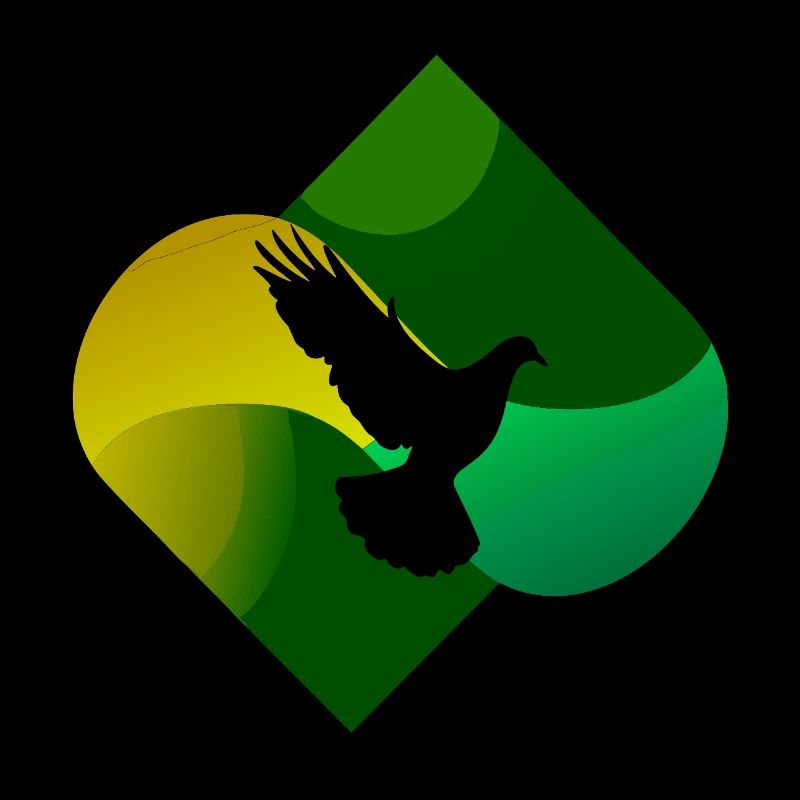 Pigeon Dung Pigeon Egg