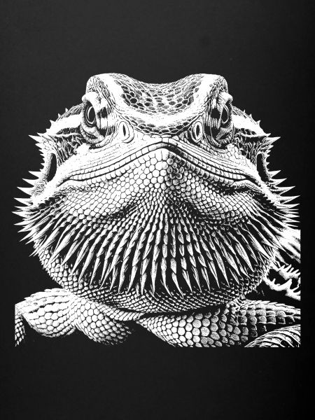 Dragon barbu