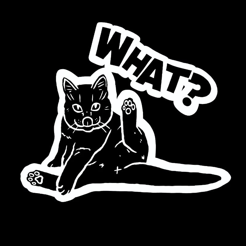 Funny Cat Meme – Décalé « QUOI ? » Illustration