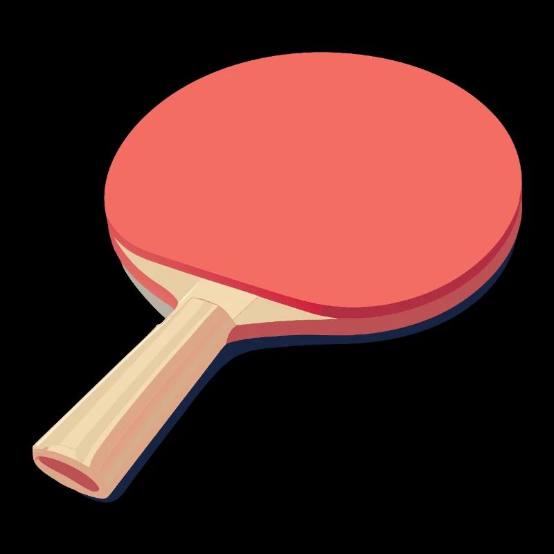 Raquettes de ping-pong