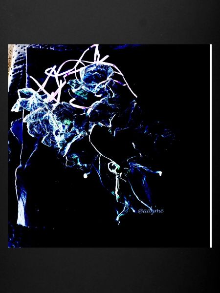Synapse