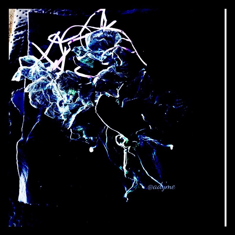 Synapse