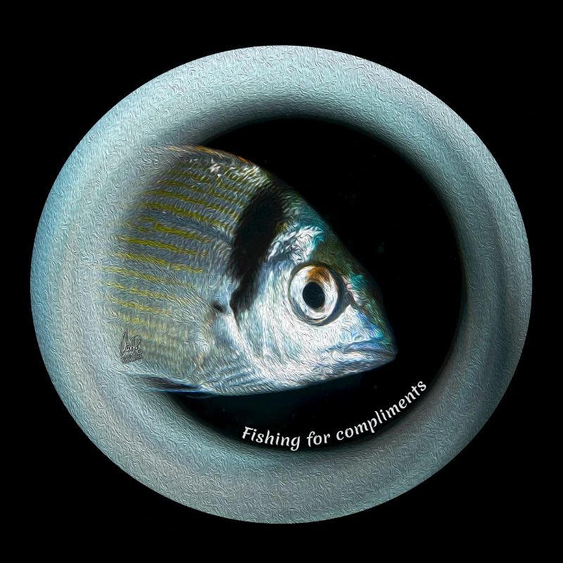 Poisson oeil de bœuf