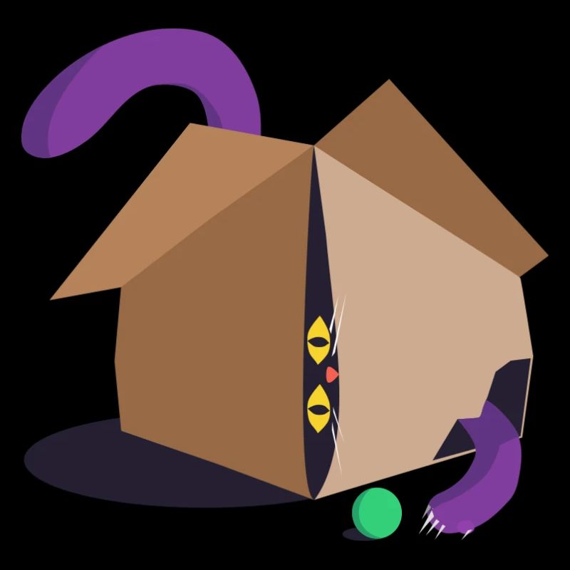 cat in the box