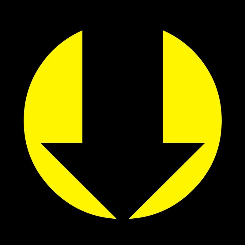 Flèche vers le bas