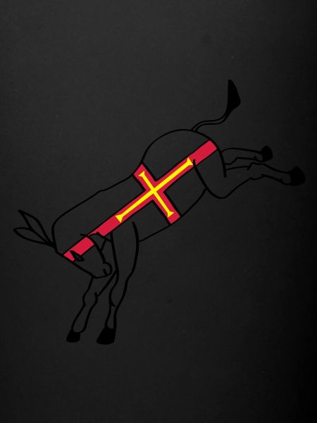 guernseydonkey