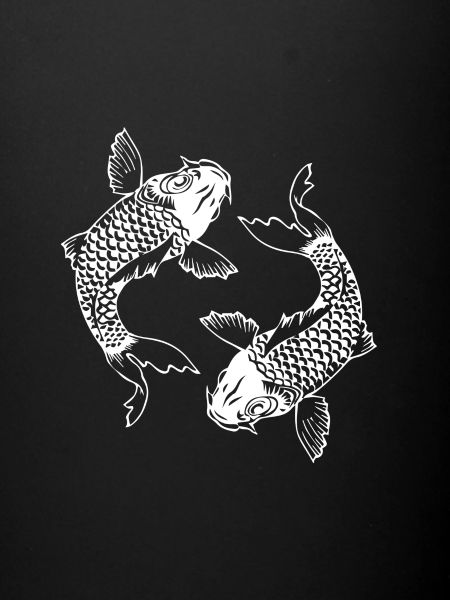 Carp Koi Blanc
