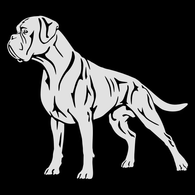 578 Boxer