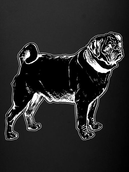 Mops
