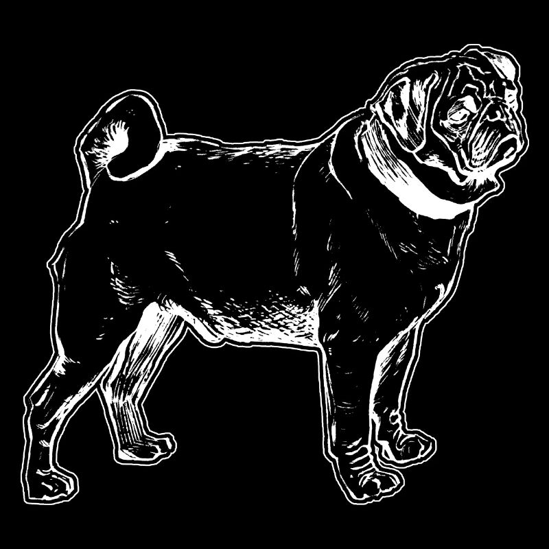 Mops