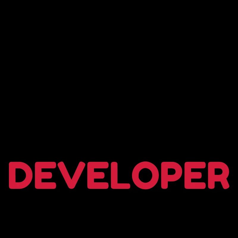 développeur / informatique / informaticien /