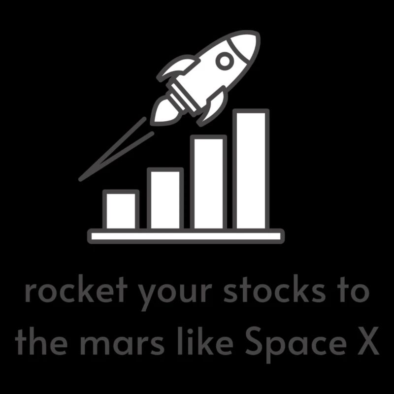 Share rocket space x tesla gift idea