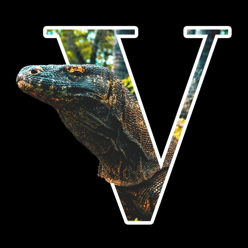 V Varan alphabet animals