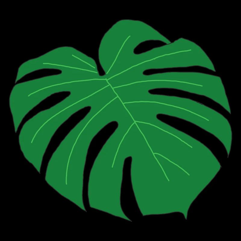 Monstera Blad
