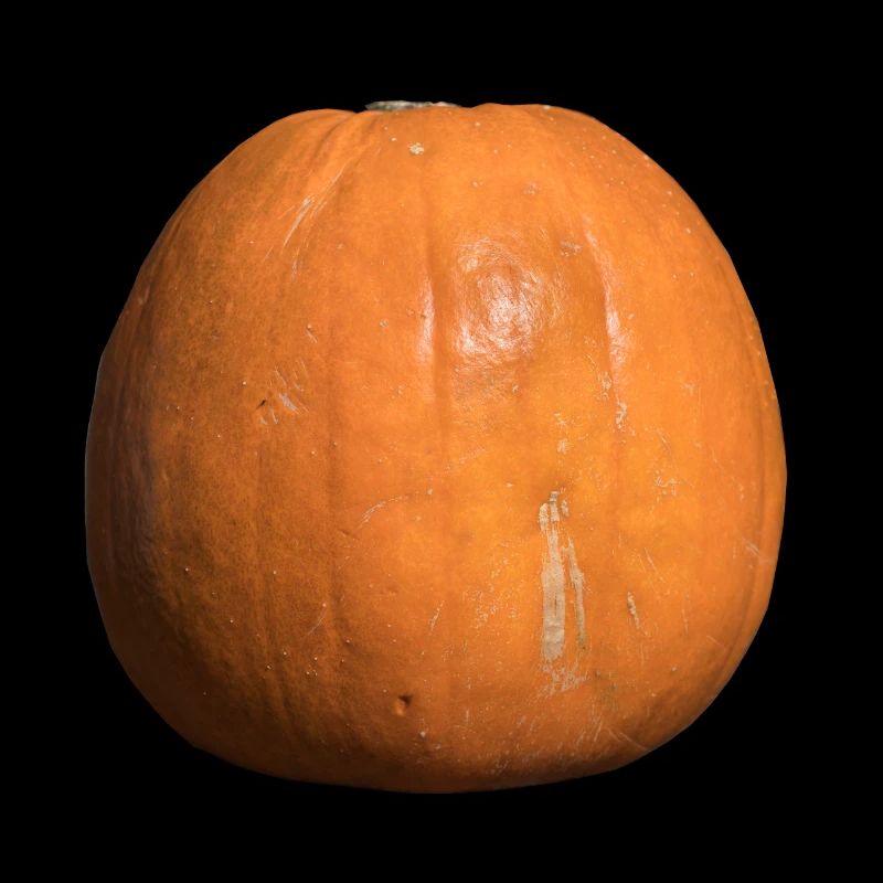 Pumpkin