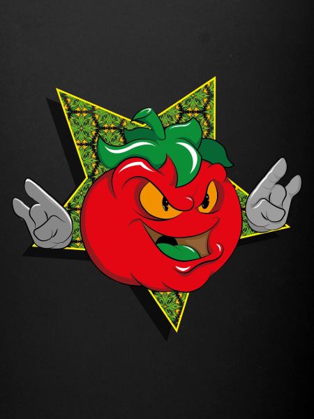 mr tomato