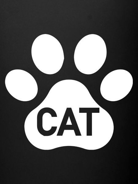 Chat Katze