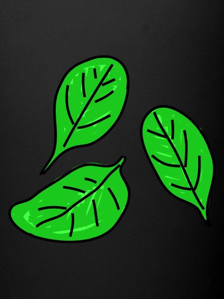 Spinach Doodle