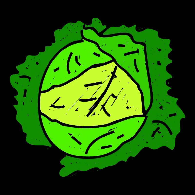 Savoy Cabbage Doodle