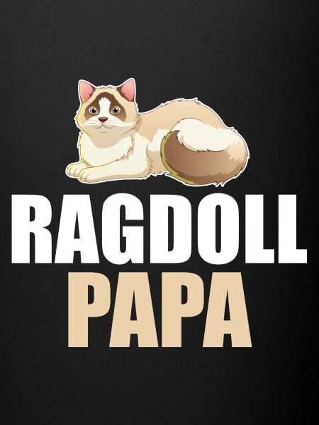 Ragdoll Cat Cat