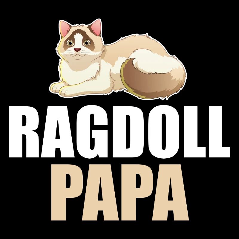 Ragdoll Cat Cat