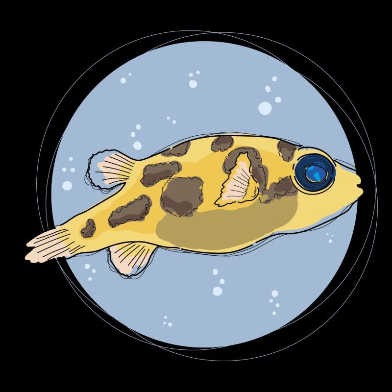 Pea Puffer ,puffer, kugelfisch