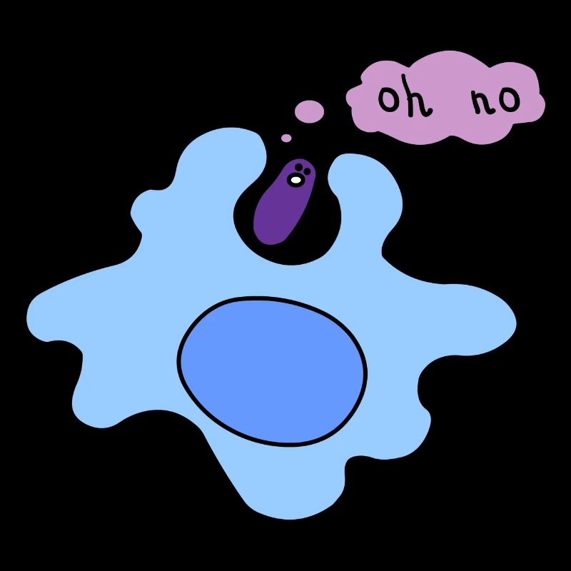 Phagocytose