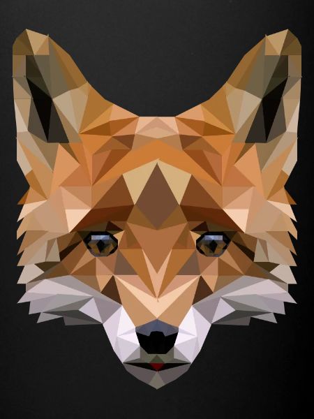 Polygon Fuchs