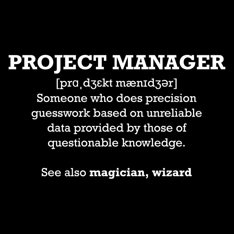 Project manager - wizard