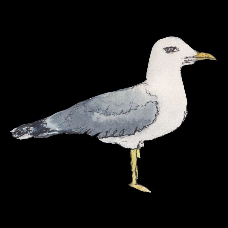 Krafttier der Woche Möwe