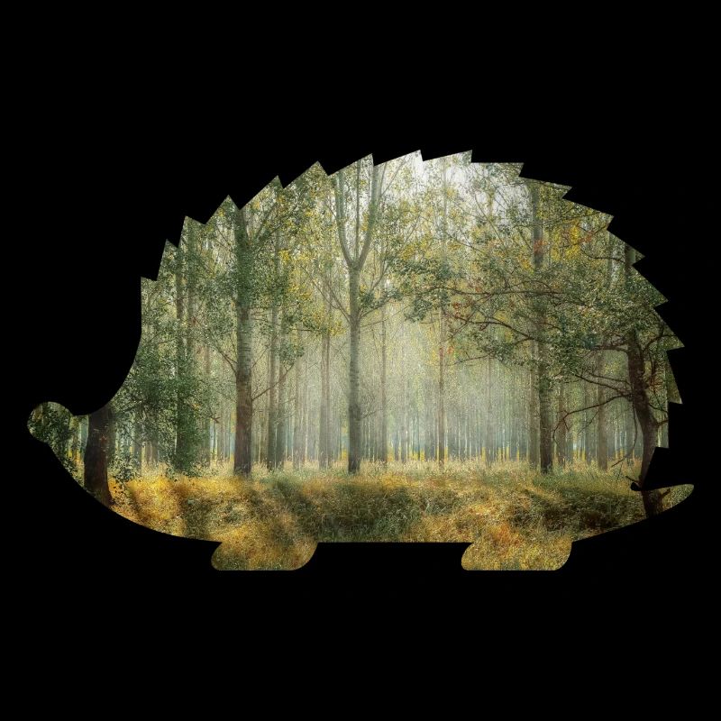 wald 9 igel mit wald