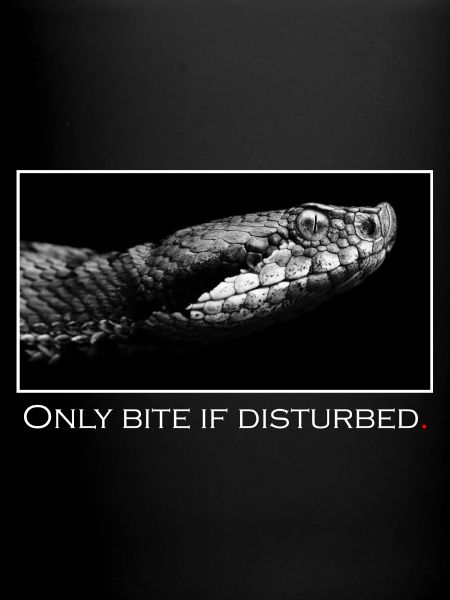 Only bite if