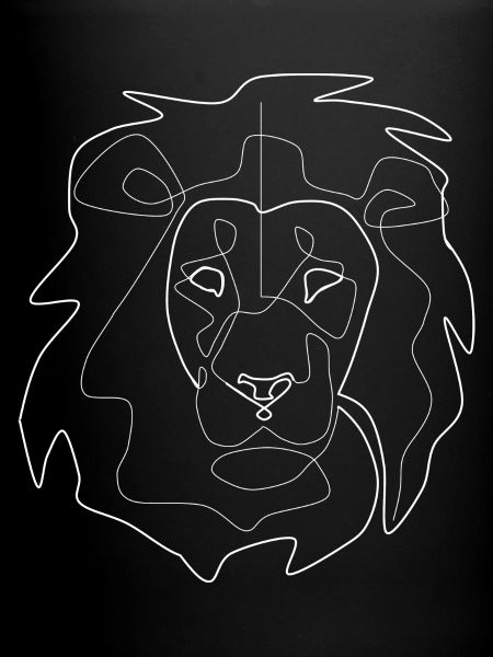 lion white
