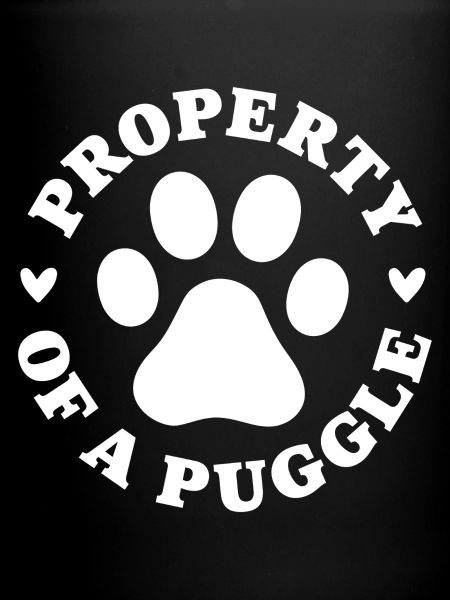 Propriété d’un Puggle
