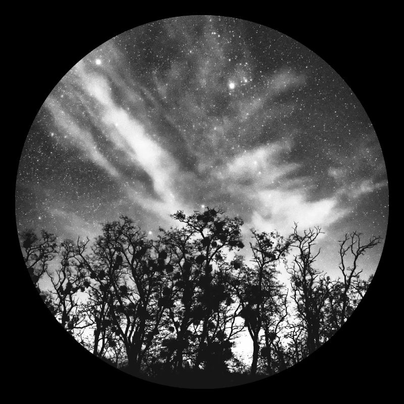 Ciel nocturne dans la forêt