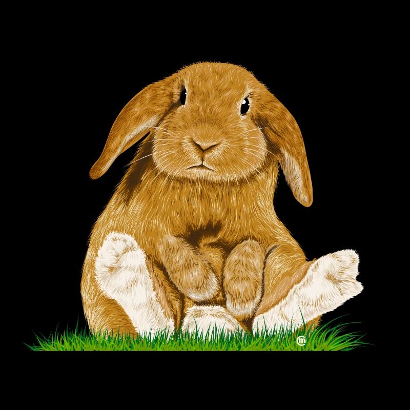Bunny!