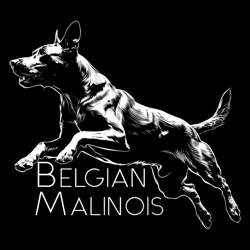 BELGIAN MALINOIS