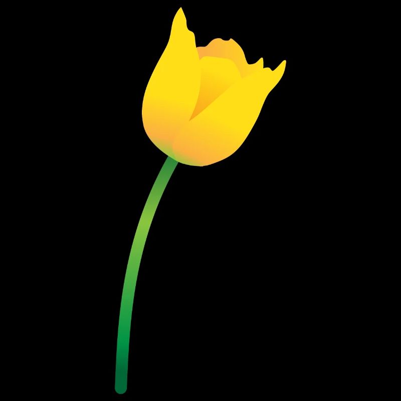 Tulipe jaune