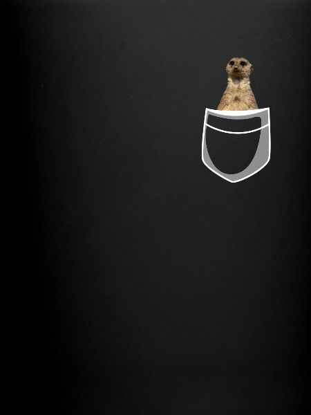 Cadeau de suricate
