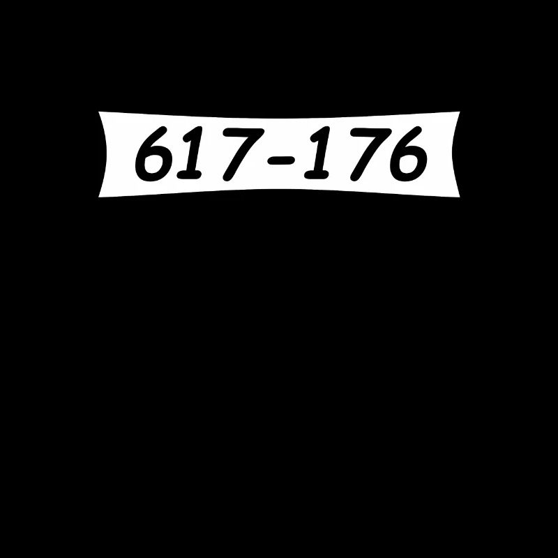 Panzerknacker Nummer 617 176