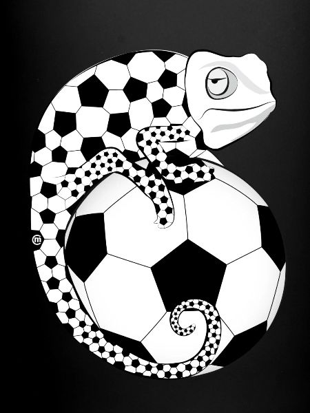 Soccer Chameleon