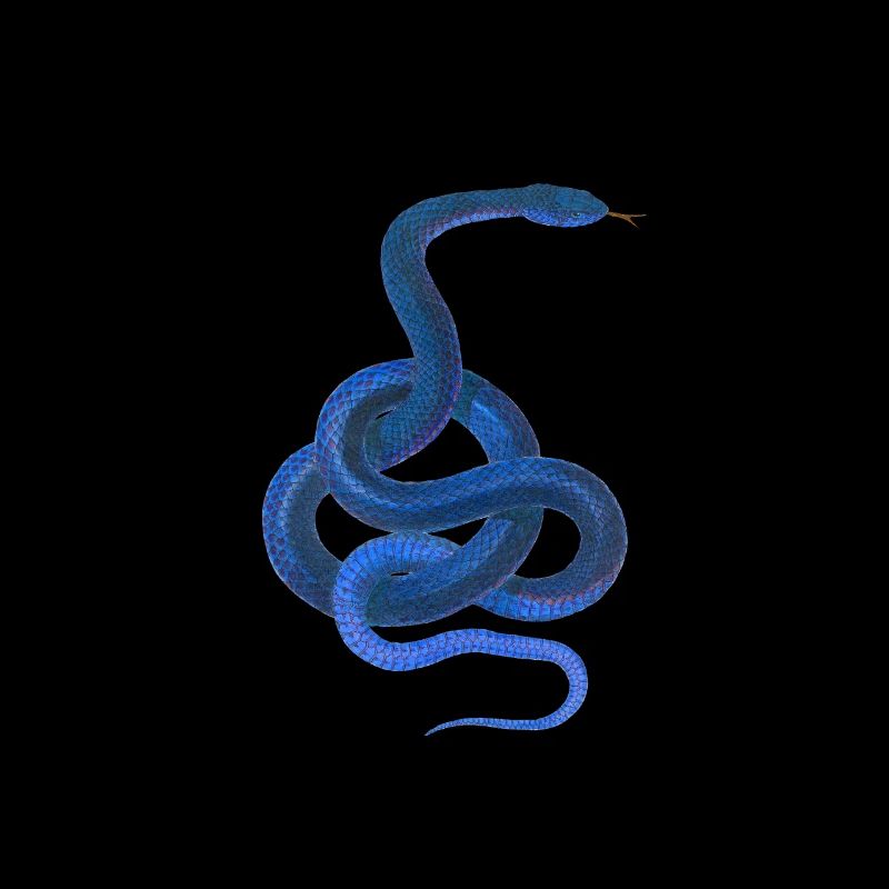 Blue snake