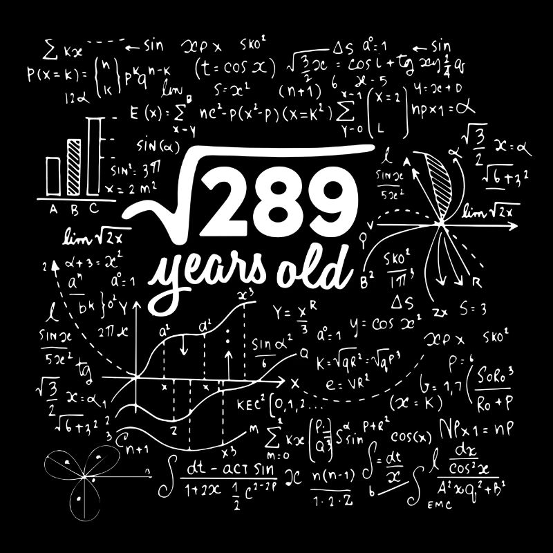 SQUARE ROOT 289 = 17 YEARS OLD MATH BIRTHDAY GIFT
