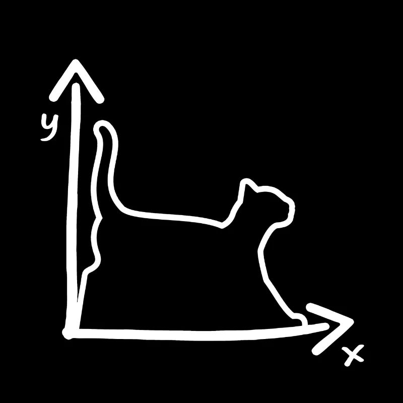 CAT CATS COORDINATE MATH NERD GIFT