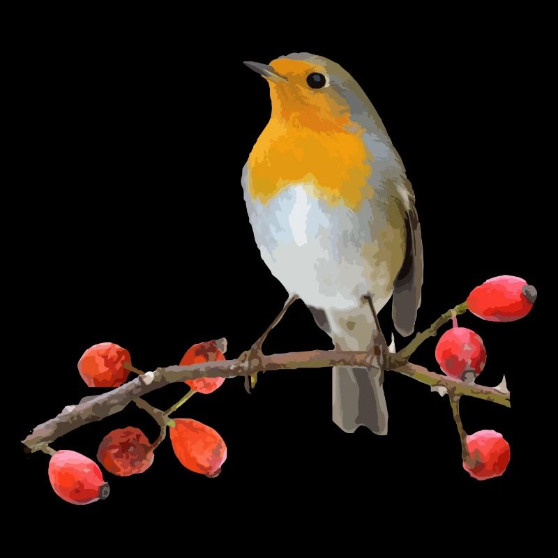 Robin on branch with red berries